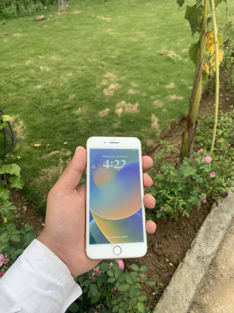 Apple iPhone 8 Plus 3