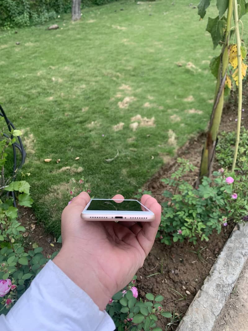Apple iPhone 8 Plus 4