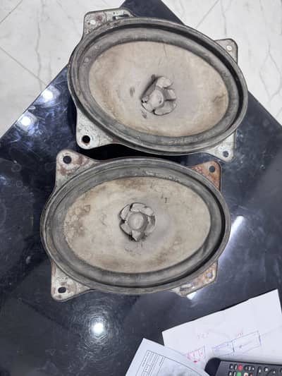 Speaker