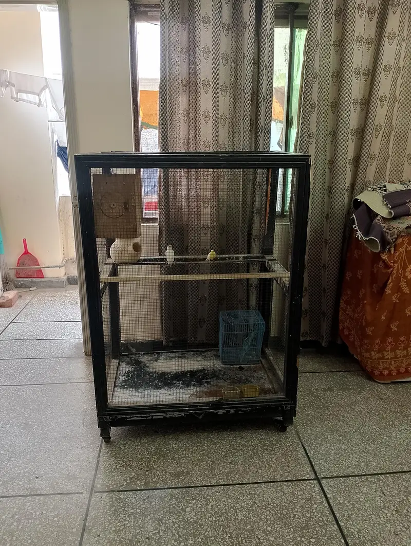 Birds (Parrots) Cage for Sale