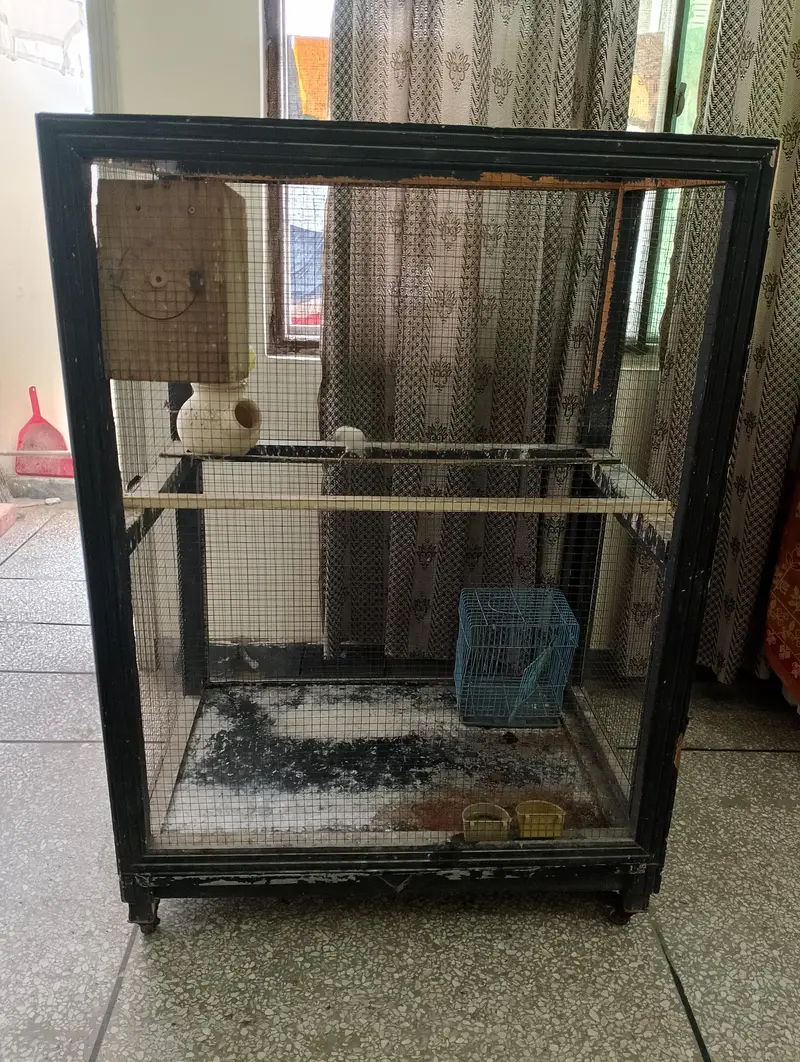 Birds (Parrots) Cage for Sale — photo 5