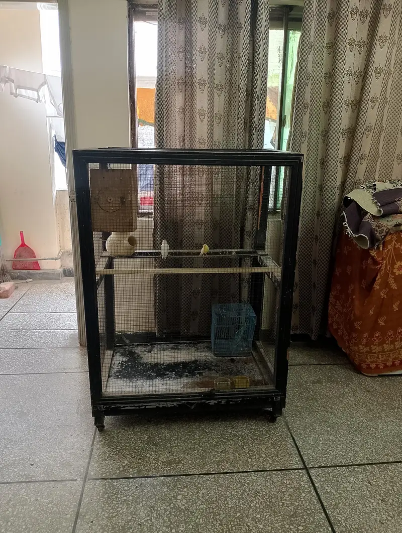 Birds (Parrots) Cage for Sale — photo 6