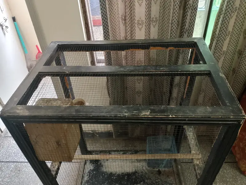 Birds (Parrots) Cage for Sale — photo 7