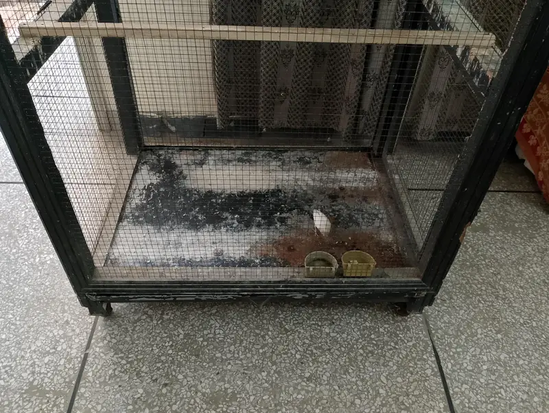 Birds (Parrots) Cage for Sale — photo 9