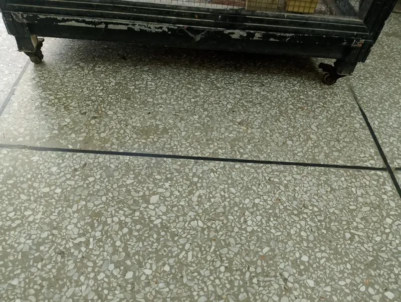 Birds (Parrots) Cage for Sale — photo 10
