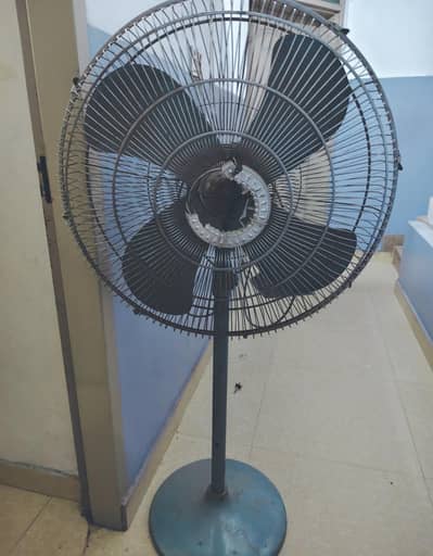solid royal fan