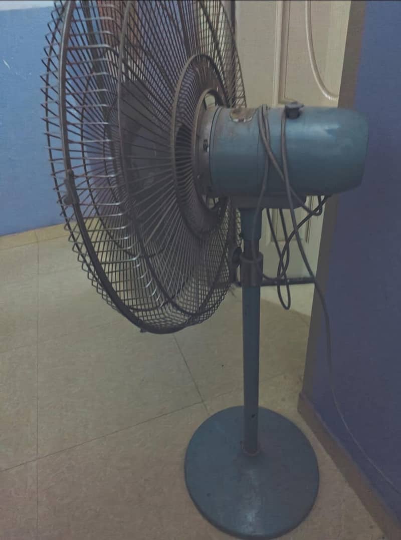 solid royal fan 1