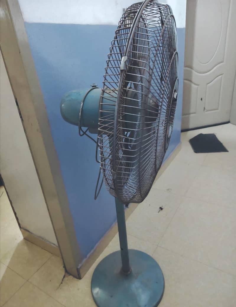 solid royal fan 3