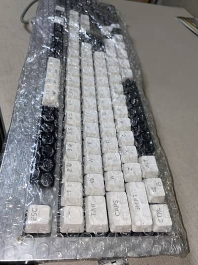 Mechanical Gaming keyboard