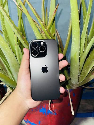 iPhone 16 pro