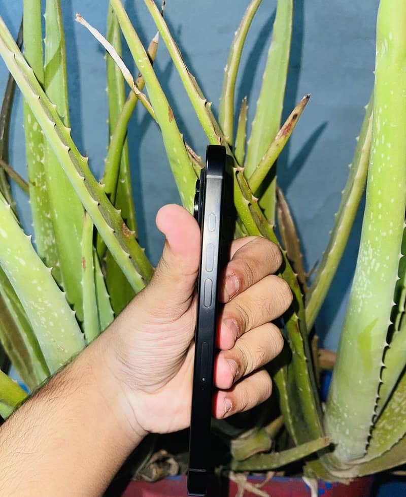 iPhone 16 pro 1