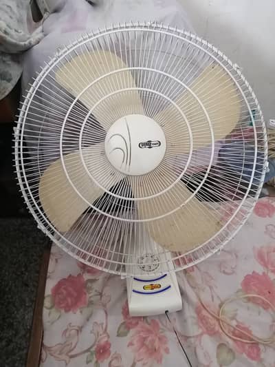 Super asia bracket fan 24 guage, pure copper winding