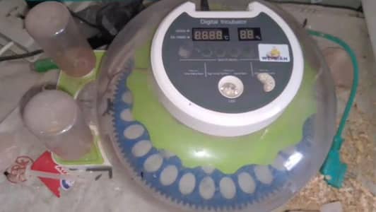 contact 03222797900 all ok very good condition