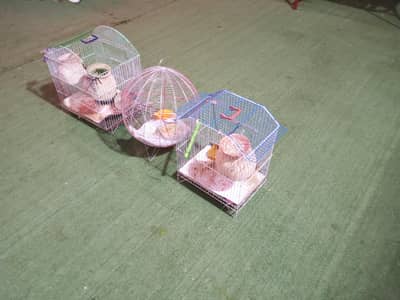 finches cage for sale