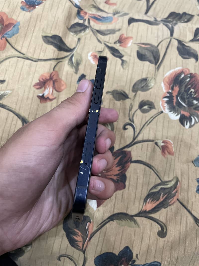 Apple iPhone 12 2