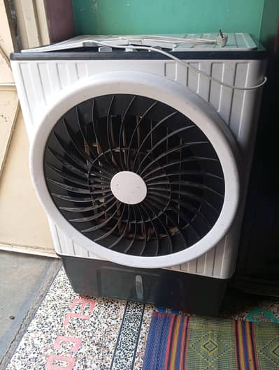 foll size coolar