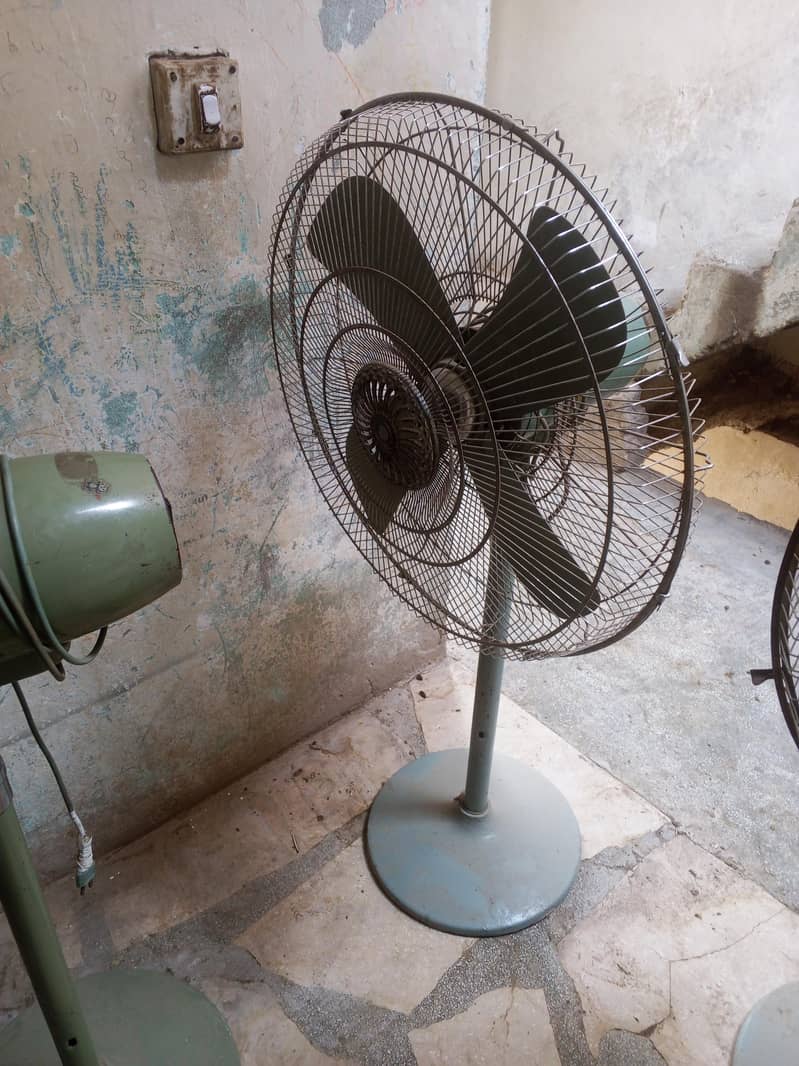 bilkul okay ha 2
