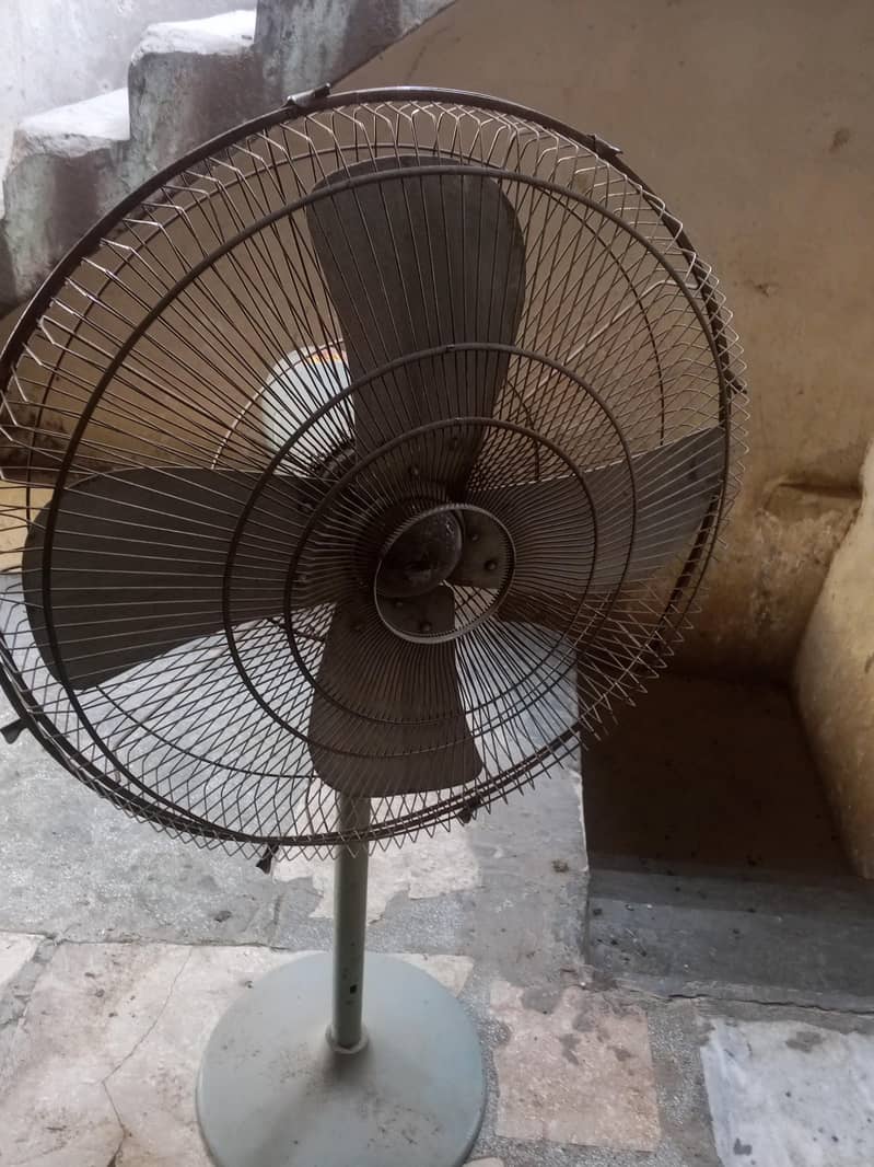 bilkul okay ha 3