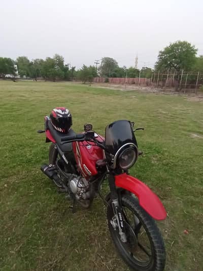 Sc project fat body for sale