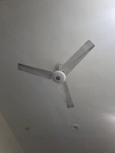GFC k bilkul new fan