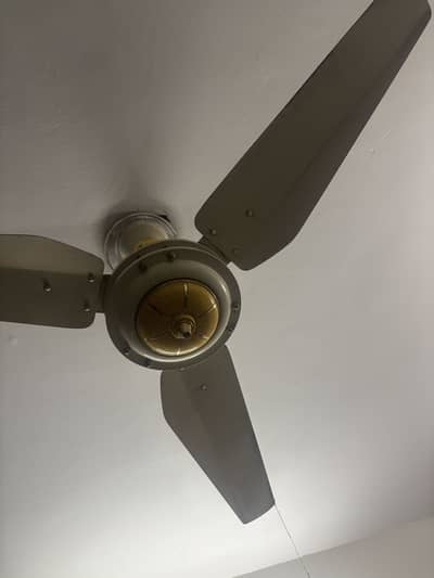 SK  Ceiling fan