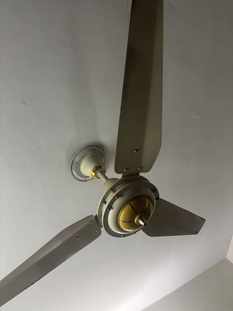 SK  Ceiling fan 1