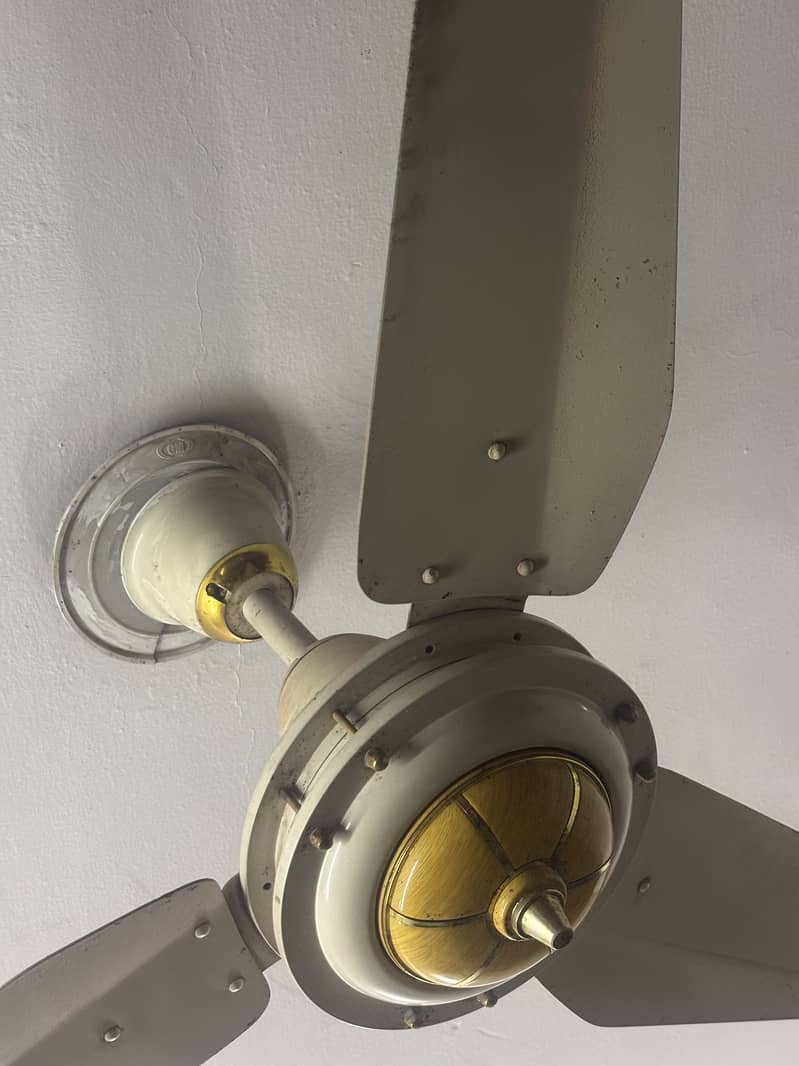 SK  Ceiling fan 2