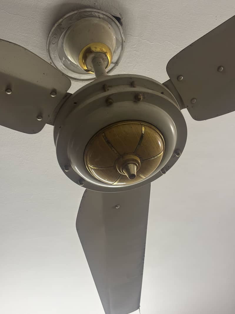 SK  Ceiling fan 3