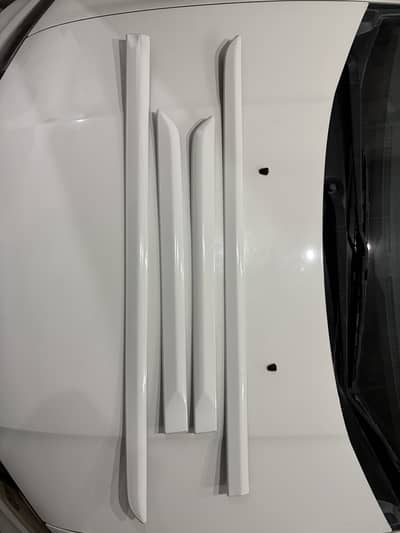 Door guard