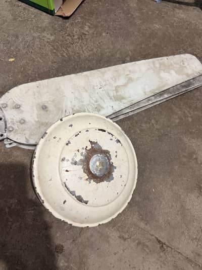 Ceiling FAN