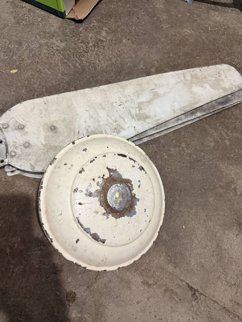Ceiling FAN 0
