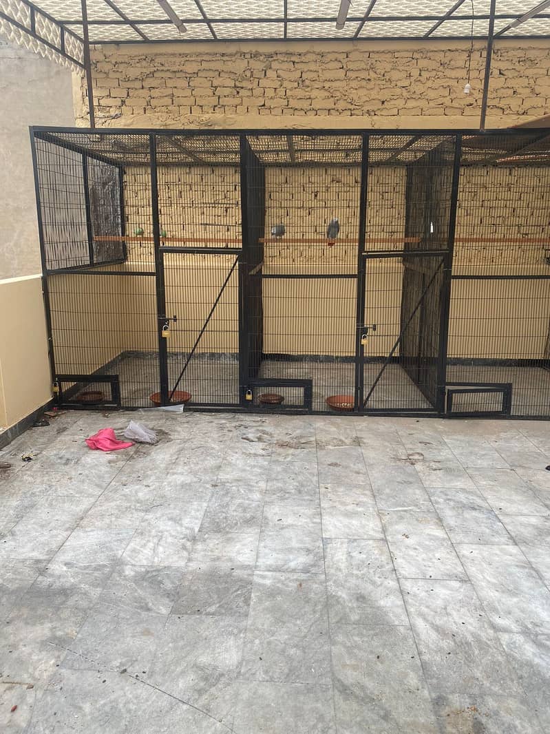 Cages 0
