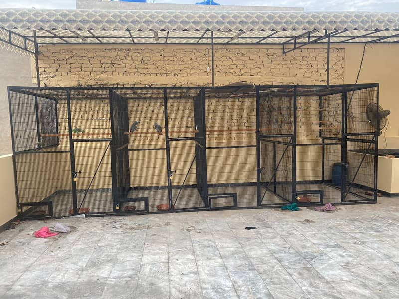 Cages 1