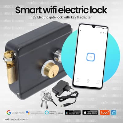 Electric lock with wifi Tuya mobile app gatelock doorlock wicketlock