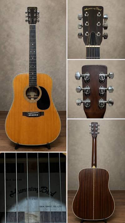 Vintage Tokai Humming Bird W-250 Acoustic Guitar (Made in Japan)