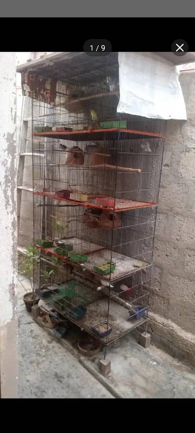 Master cage