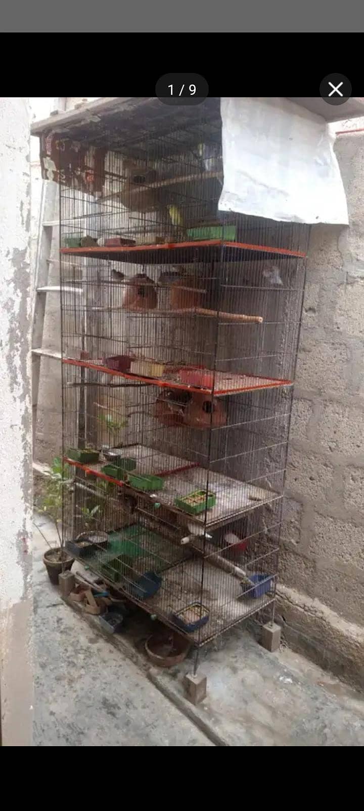 Master cage 0