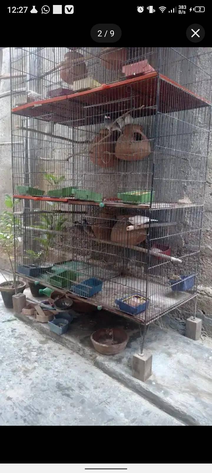 Master cage 1