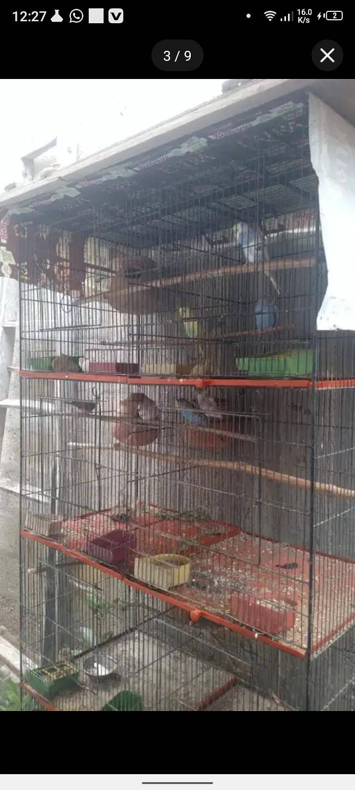 Master cage 2
