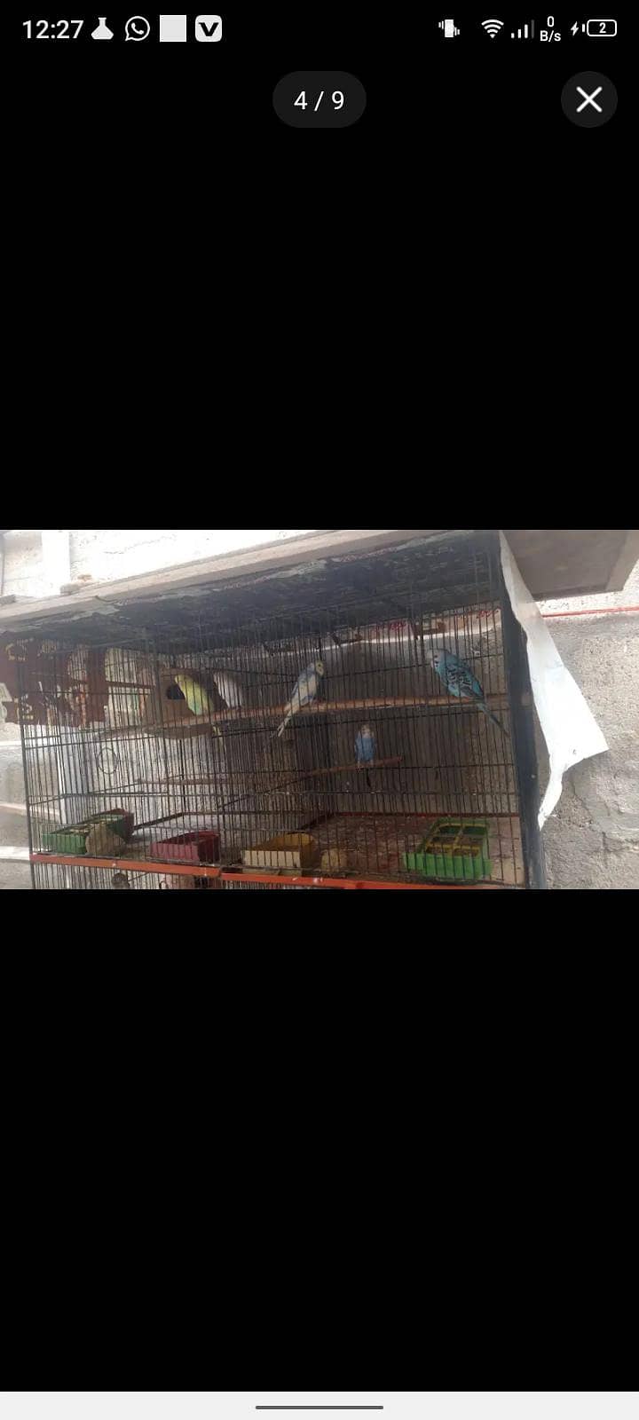 Master cage 3