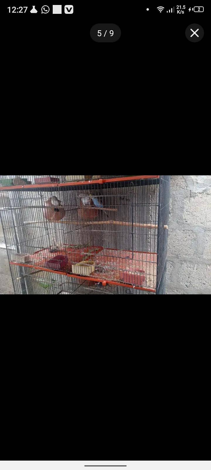 Master cage 4
