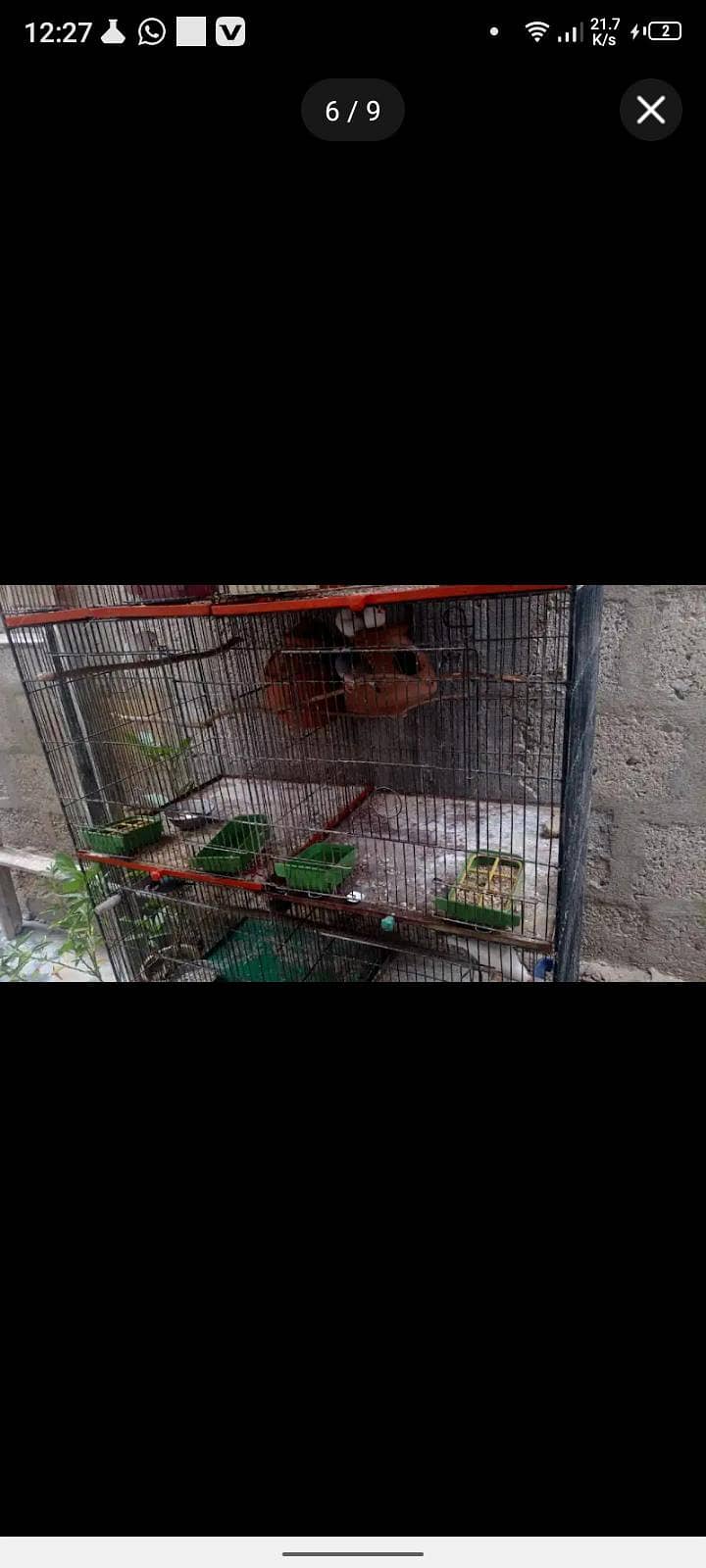 Master cage 5