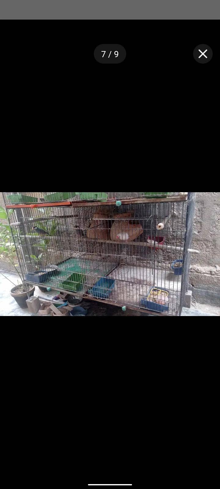 Master cage 6