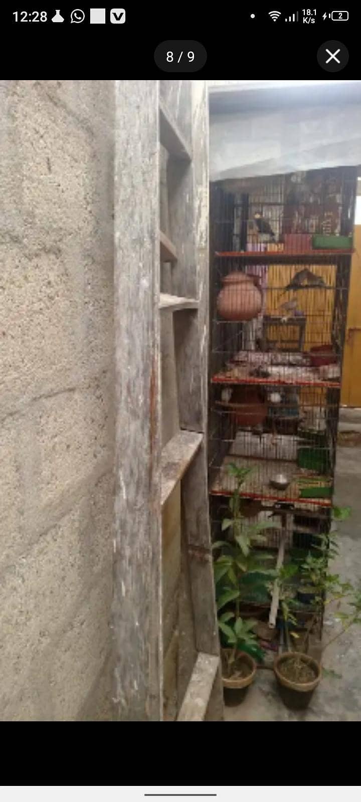 Master cage 7