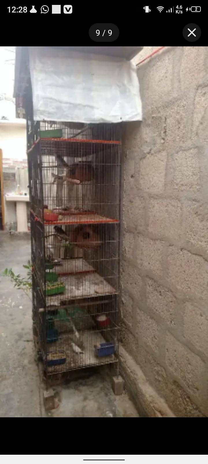 Master cage 8