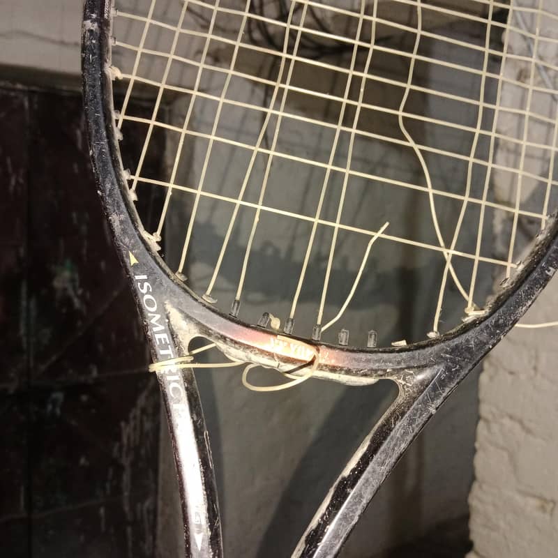 squash bat 3