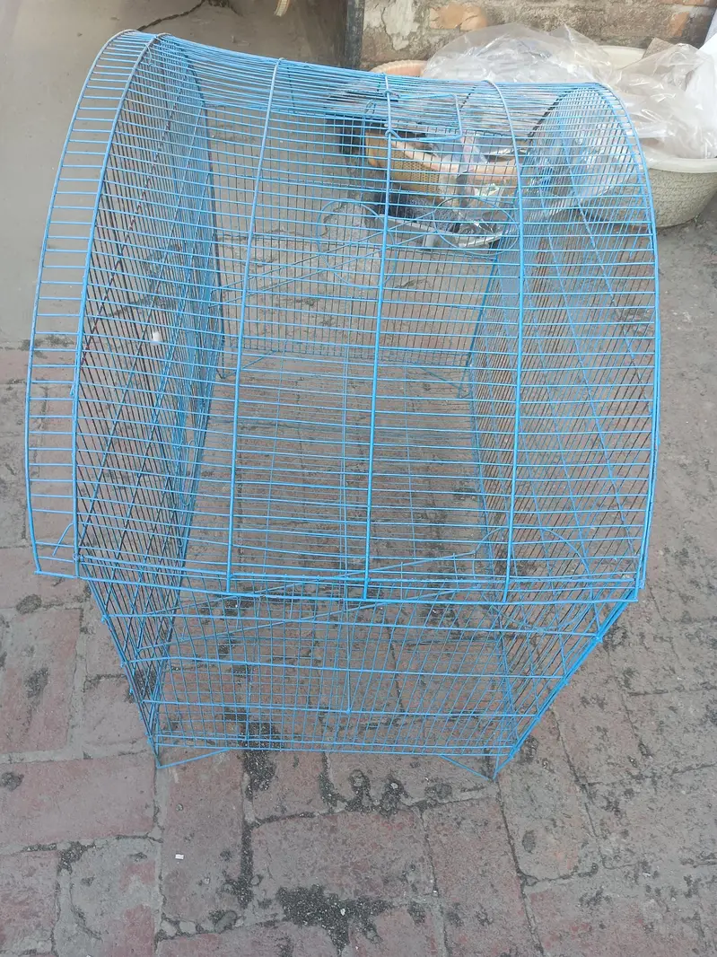Mera pass big size ka 2 cage ha