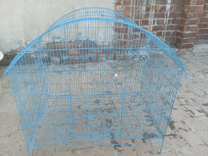 Mera pass big size ka 2 cage ha — photo 3