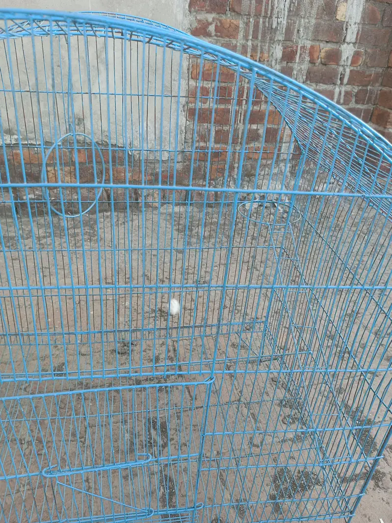 Mera pass big size ka 2 cage ha — photo 4
