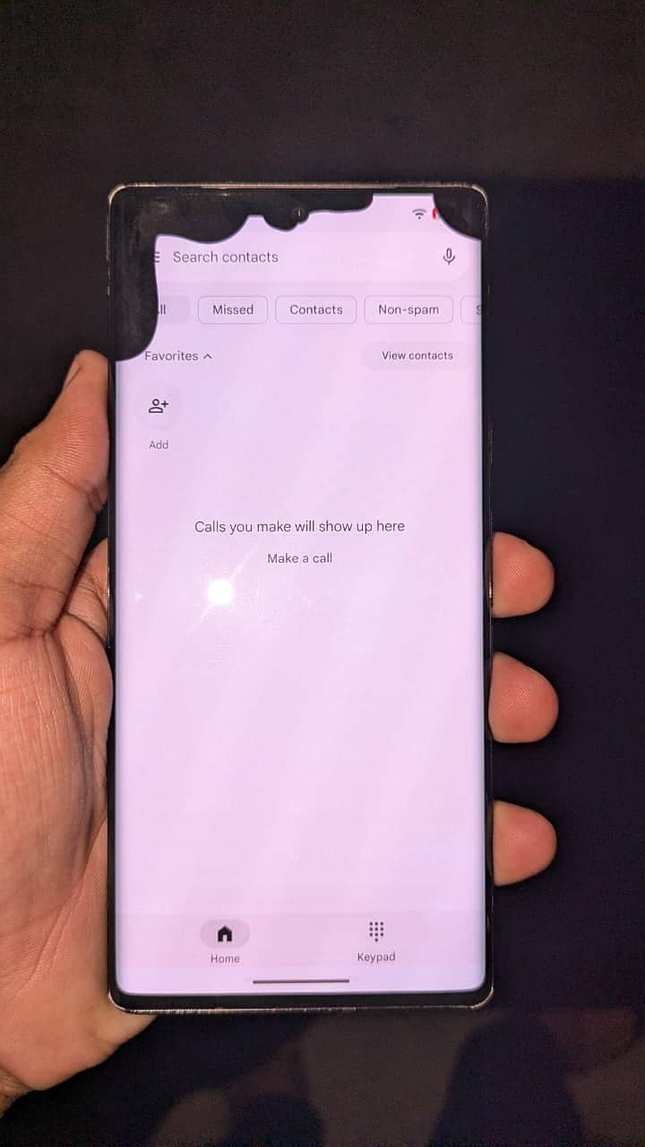 Google Pixel 6 Pro 1